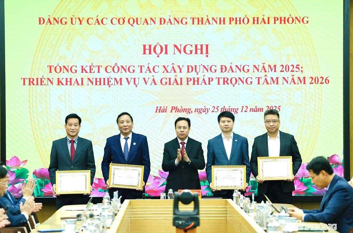 tand-tp-hai-phong.jpeg