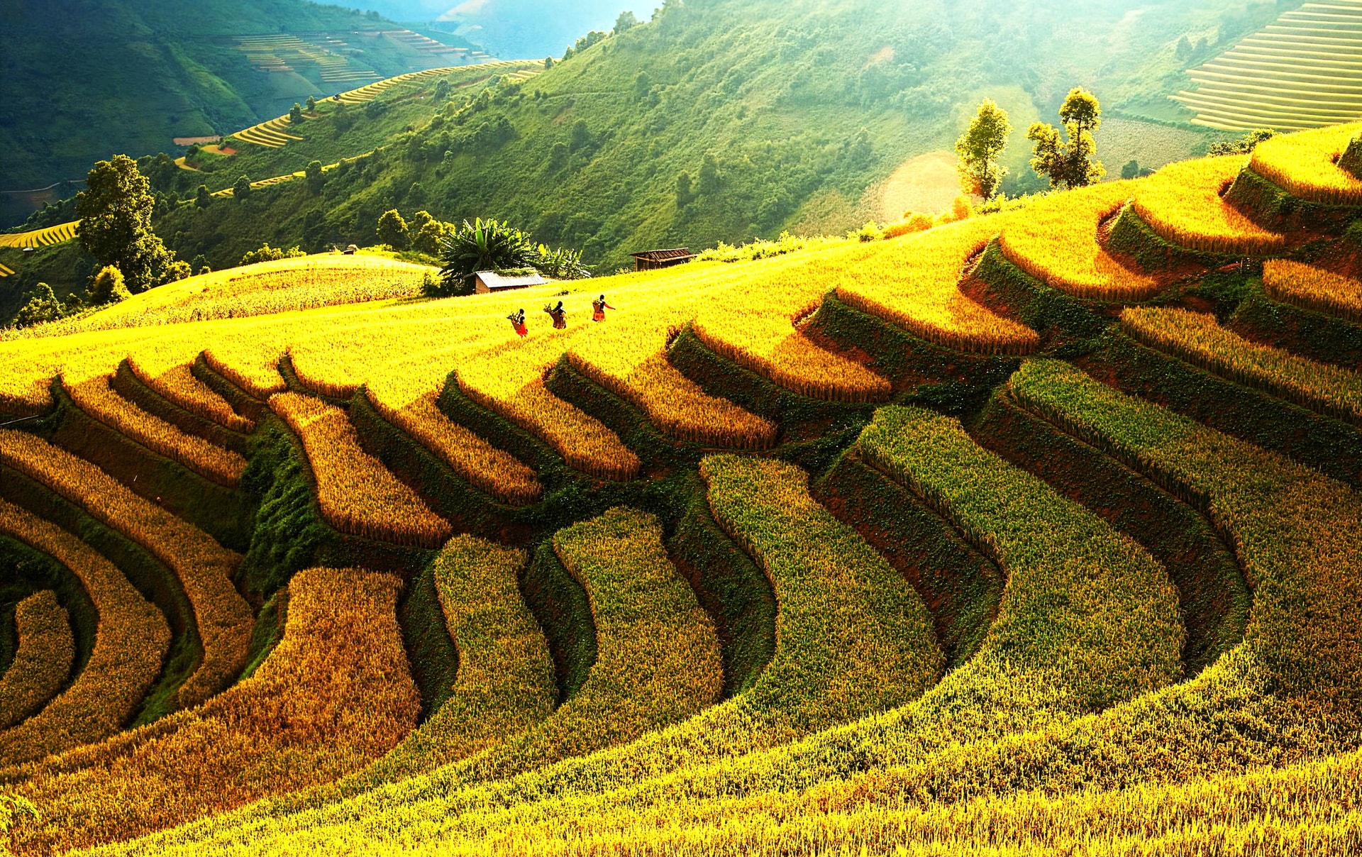 Sơn La khẳng định tiềm năng du lịch trong kỷ nguyên số