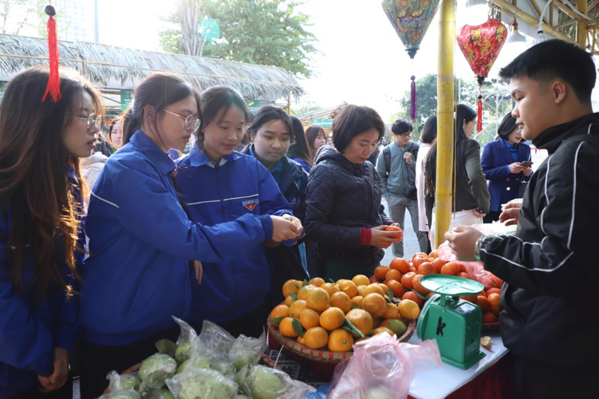 Khởi nghiệp thanh niên kết nối thị trường, nâng tầm nông sản Việt