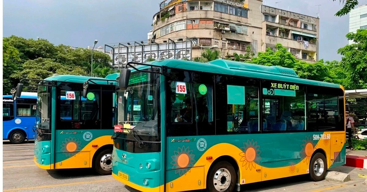 Mở rộng đấu thầu xe buýt, TP.HCM tiết kiệm hơn 216 tỷ đồng ngân sách