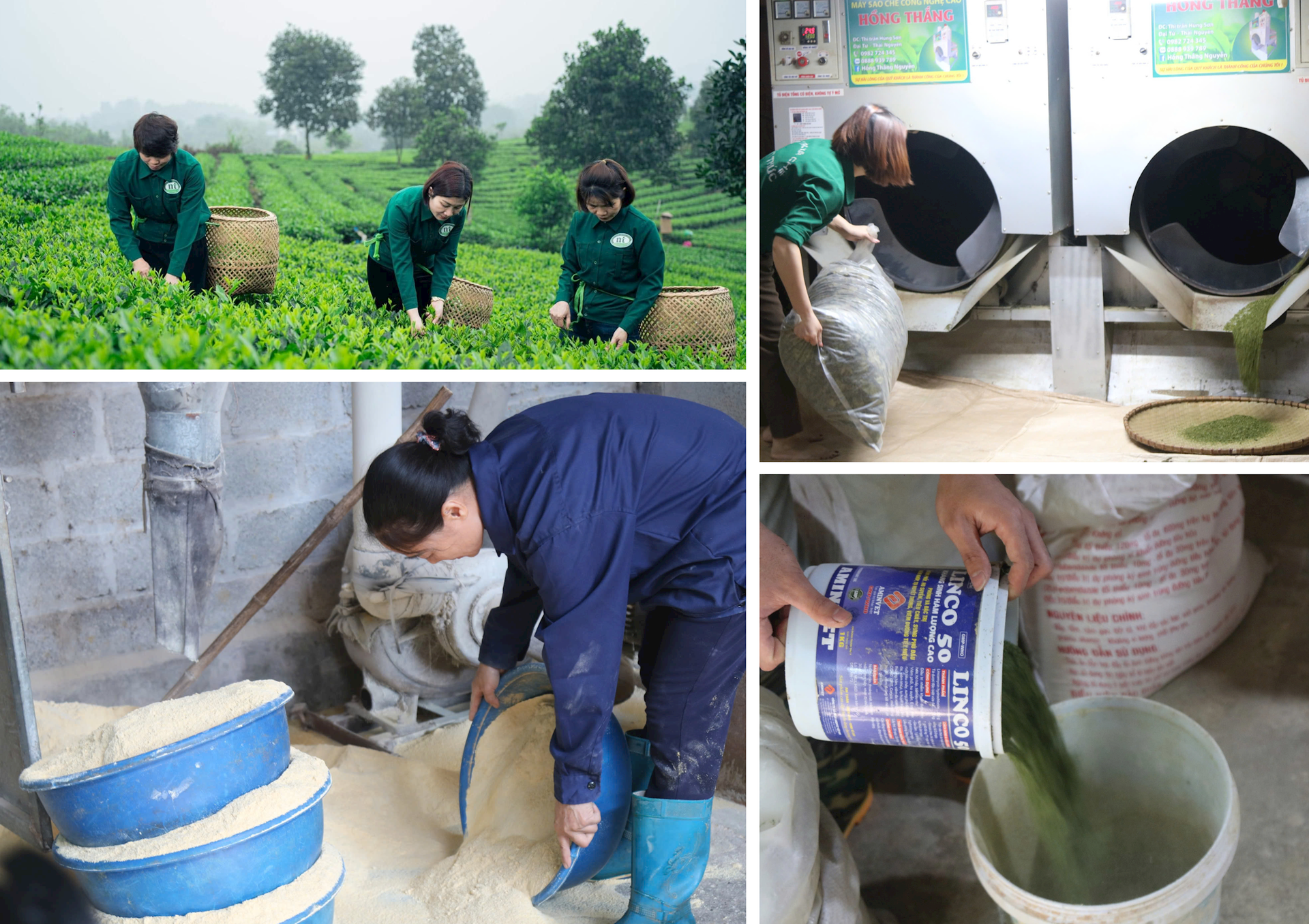 bon-da-bang-dam-cuoi-khung-anh-anh-ghep-in.png