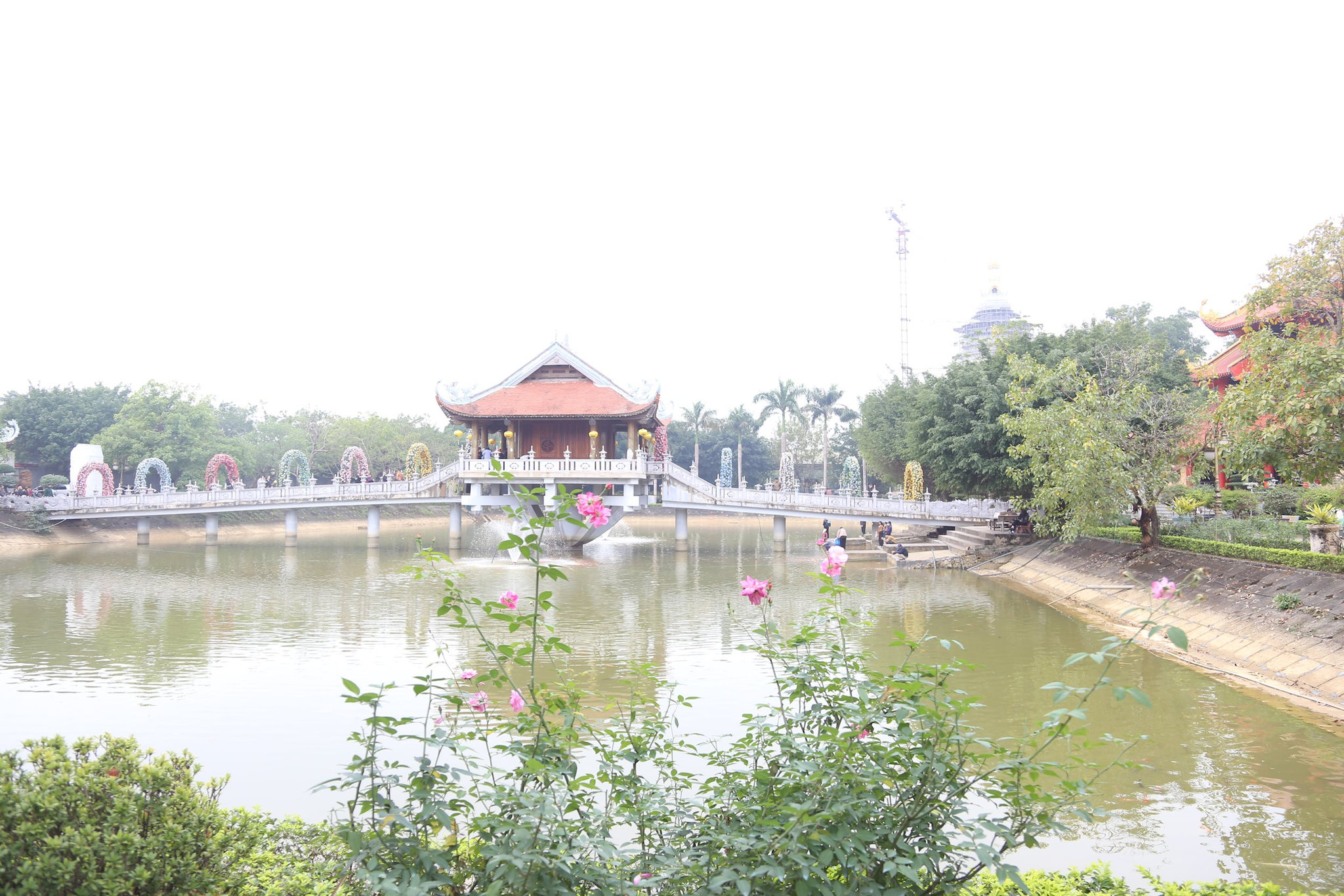 img_6817.jpg