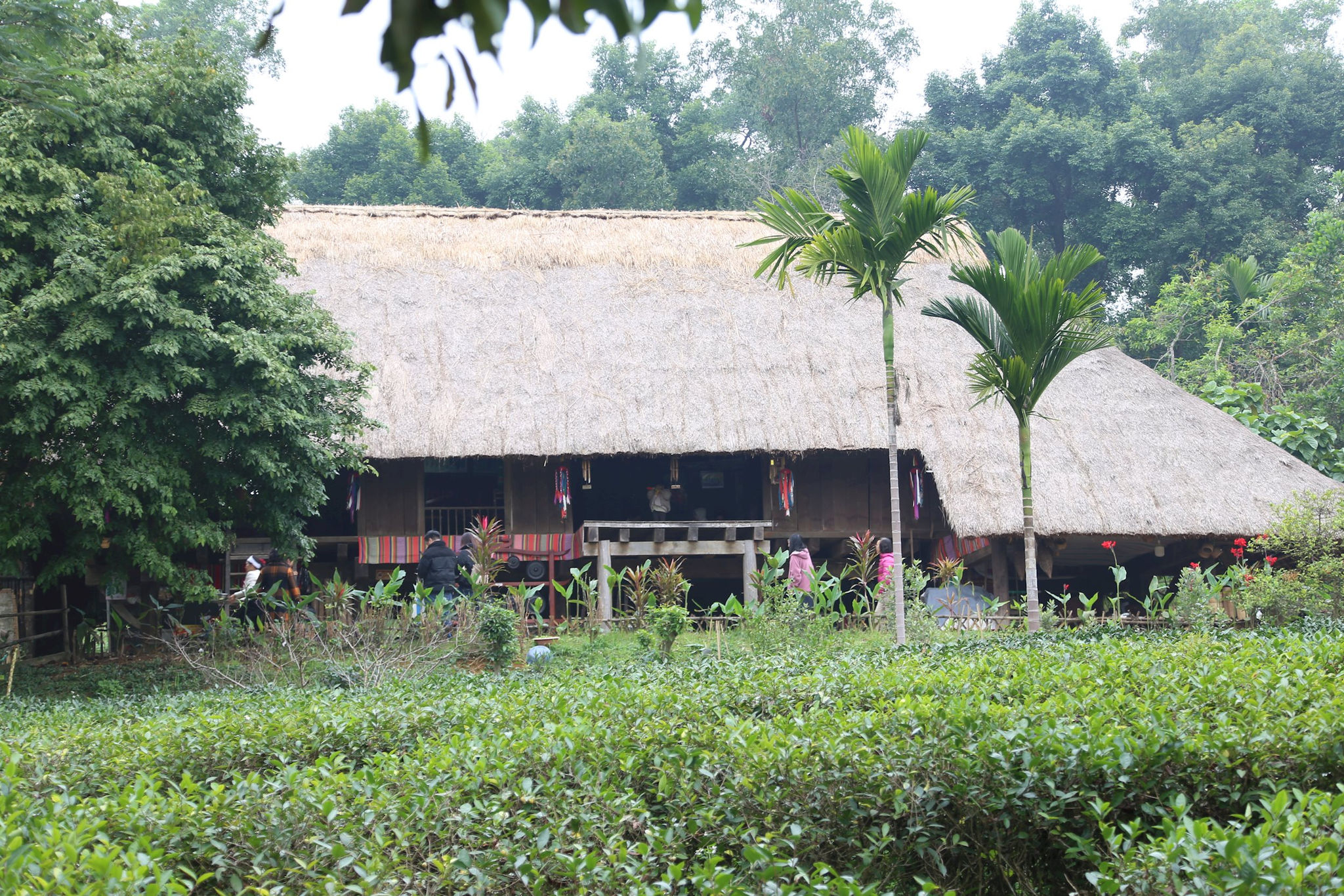 img_6880.jpg