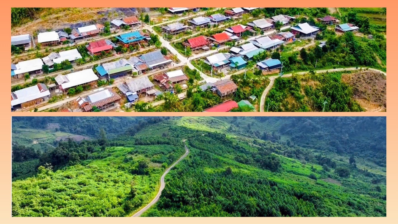Những Bí thư chi bộ ‘đi trước, làm trước’- Ảnh 3.