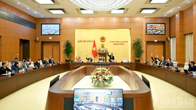 ndo_br_bnd-3748-1292.jpg