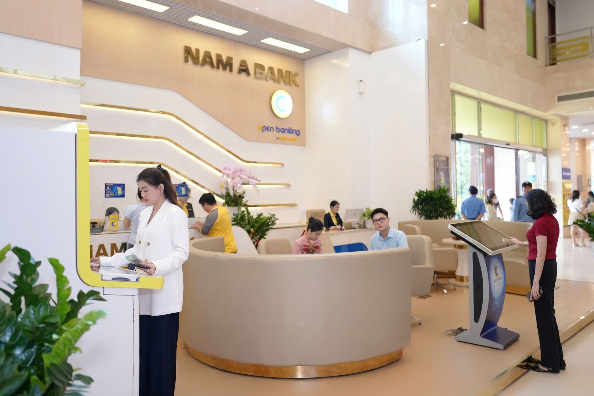 nab-2.jpg