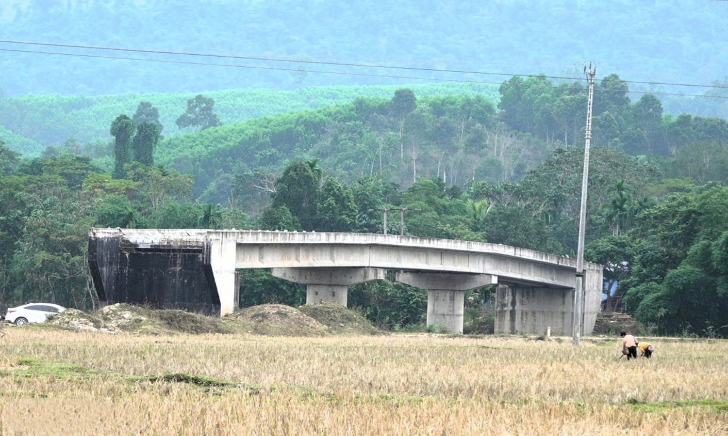 cau-que-phong-nghe-annguyen-phe-4jpg-1768036679220.jpg