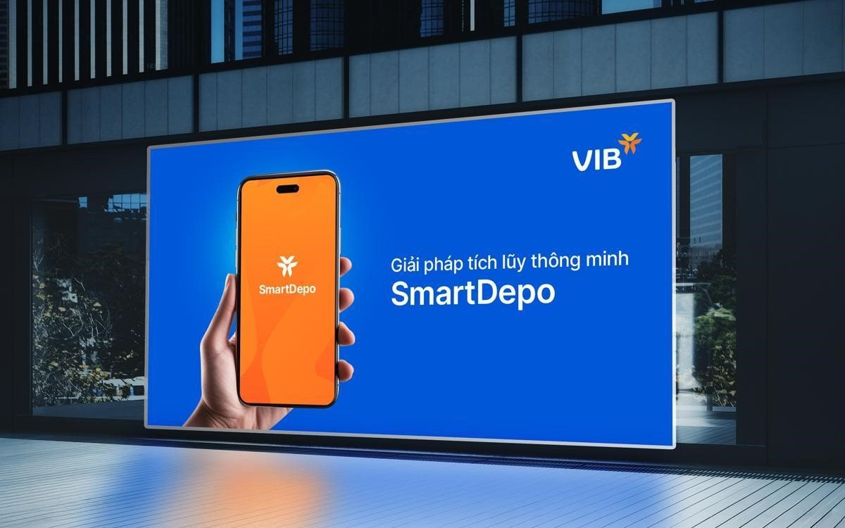 vib1.jpg
