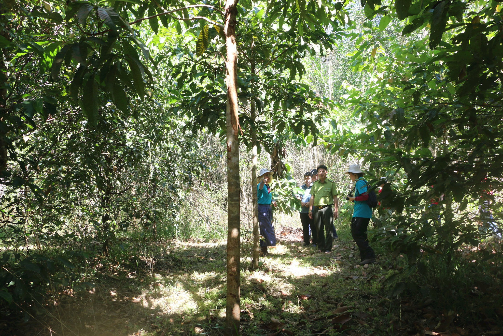8-khu-(1).jpg