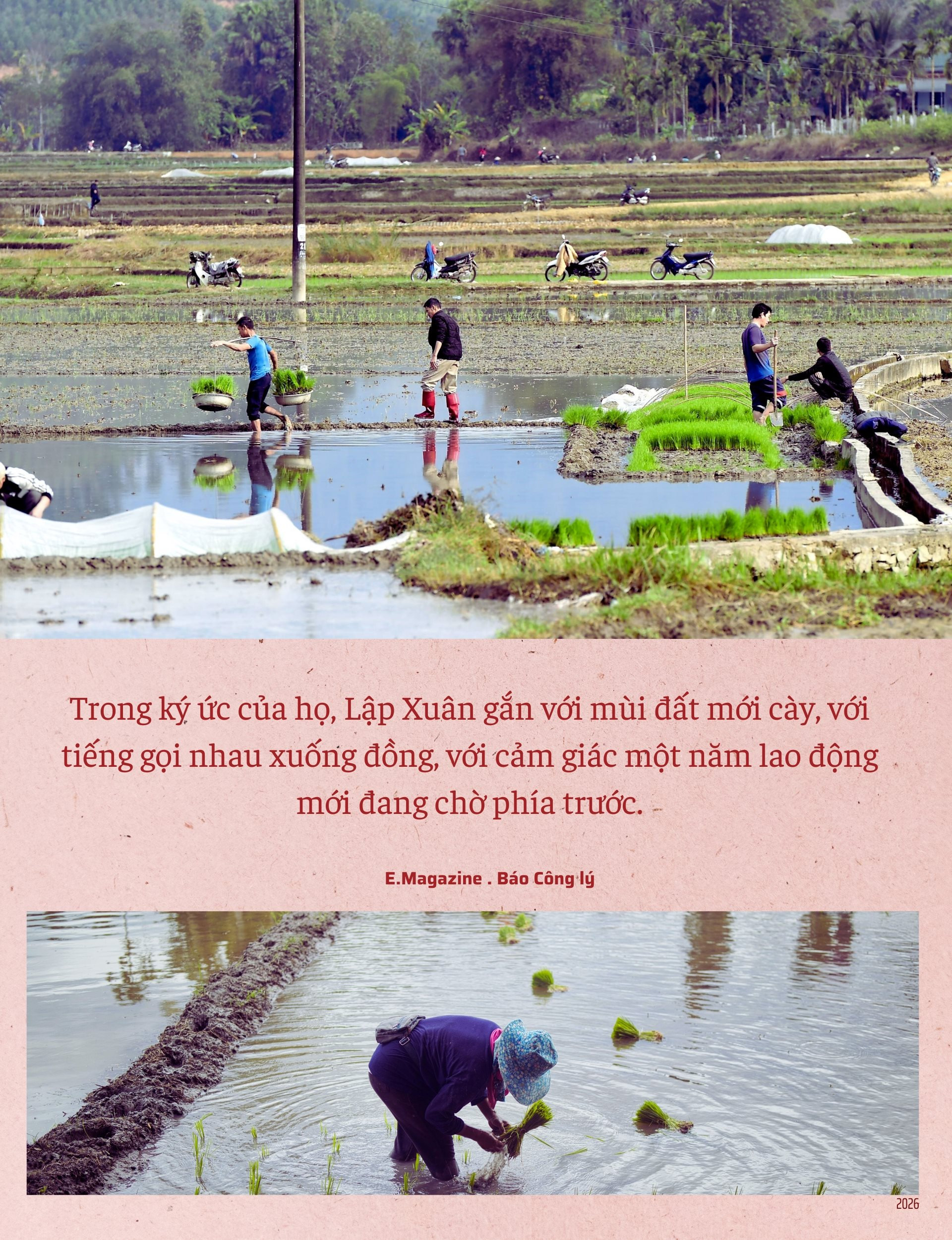 cover-10-.jpg