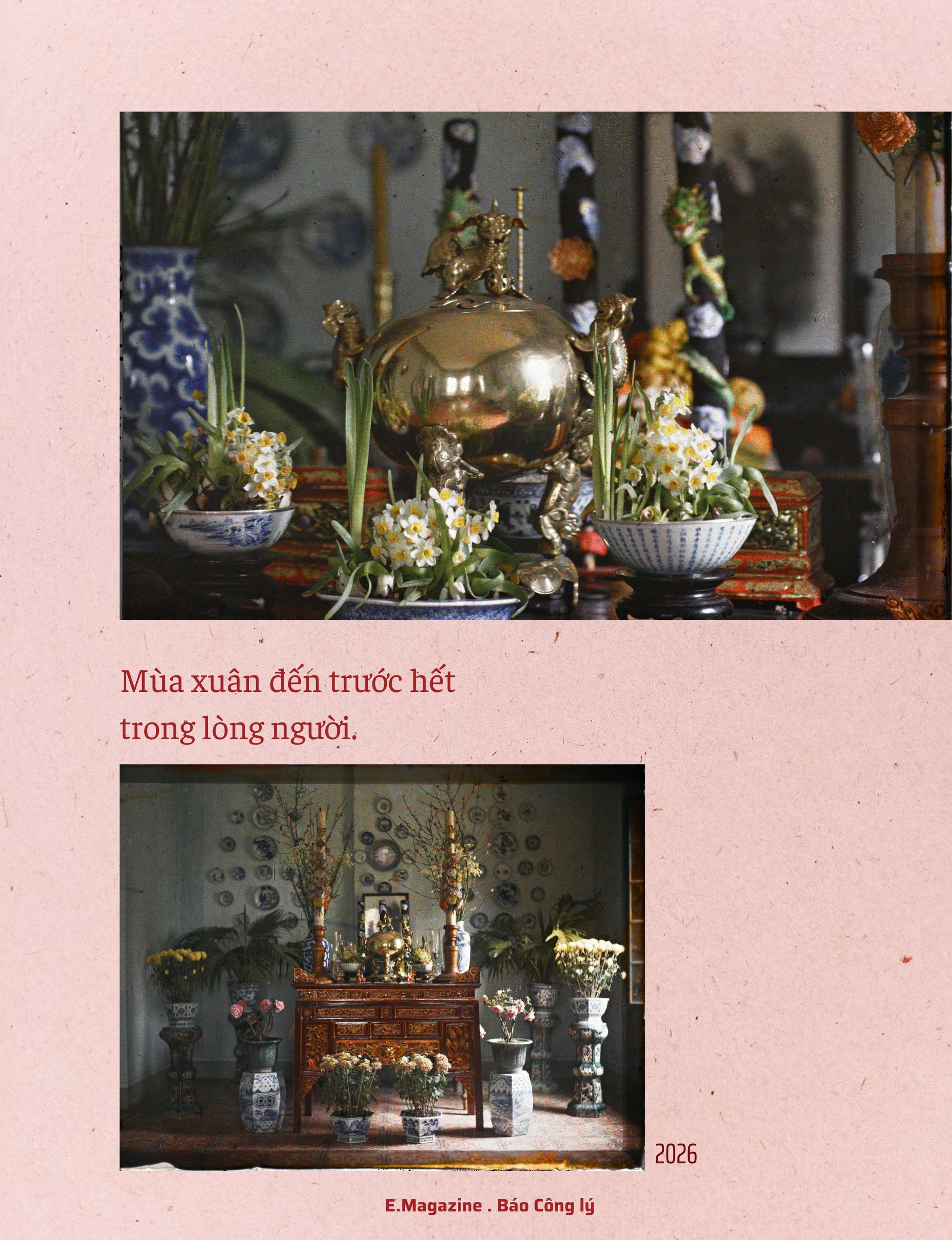 cover-11-.jpg