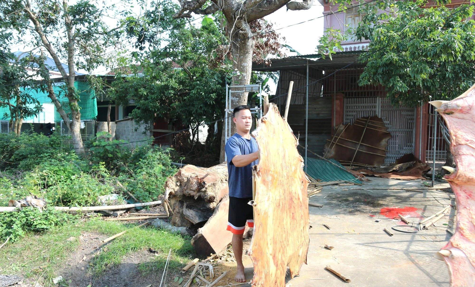 lang-trong-vao-vu-.jpg