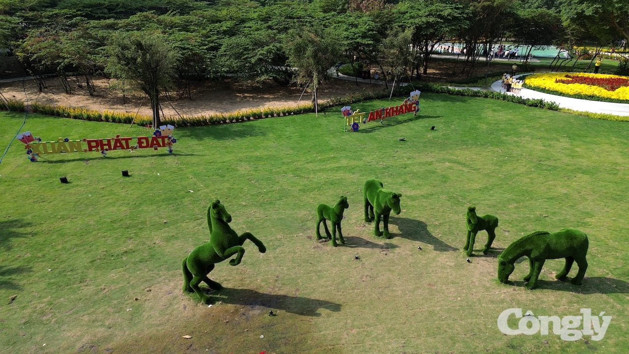 W_dji_0872.jpg