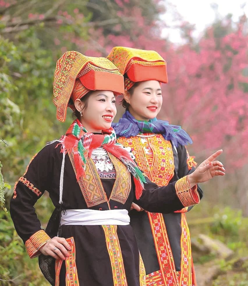 mua-xuan-cua-nguoi-dao-tren-nui-2-.jpg
