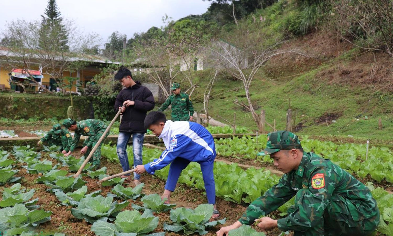 chap-canh-uoc-mo-2.jpg