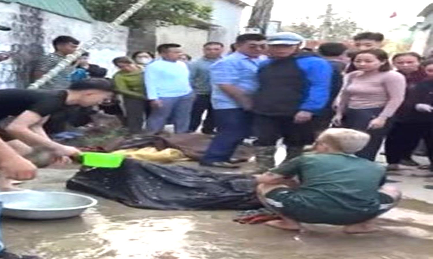 3 người nhập viện vì dựng cây nêu chạm vào điện cao thế