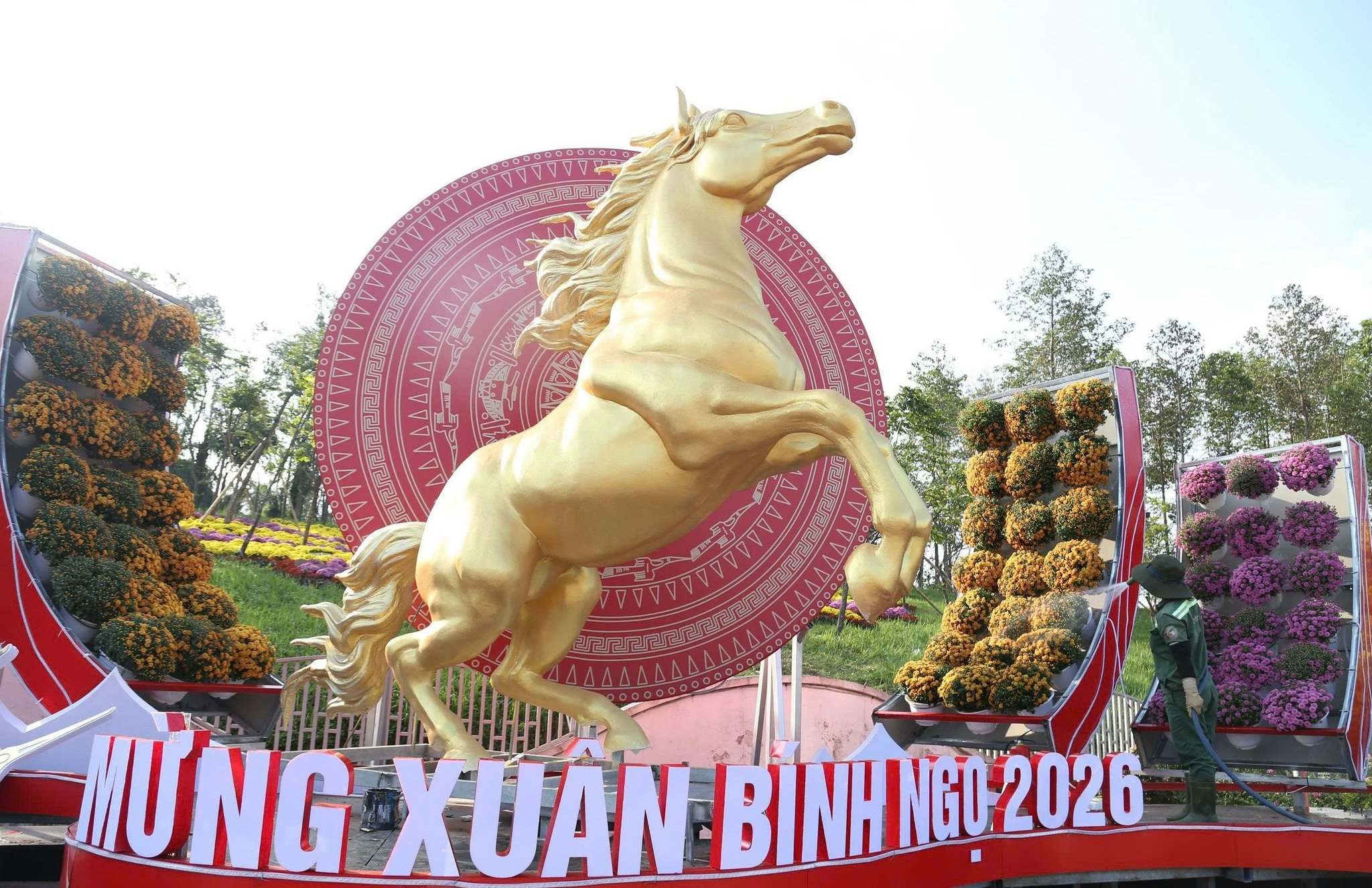 ngua.jpg