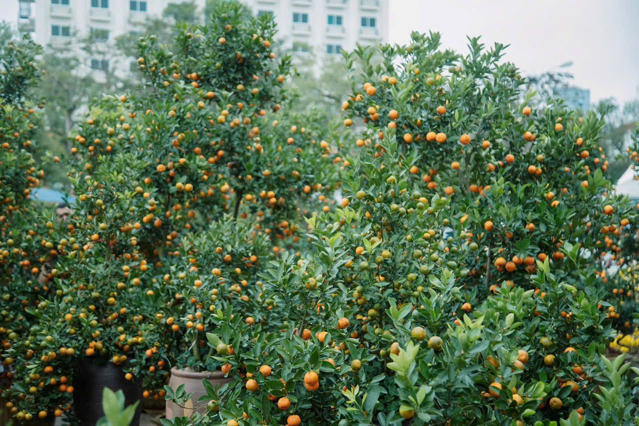 z7537069669167_25c05698ffb37e82ab61f7ae877b8809.jpg