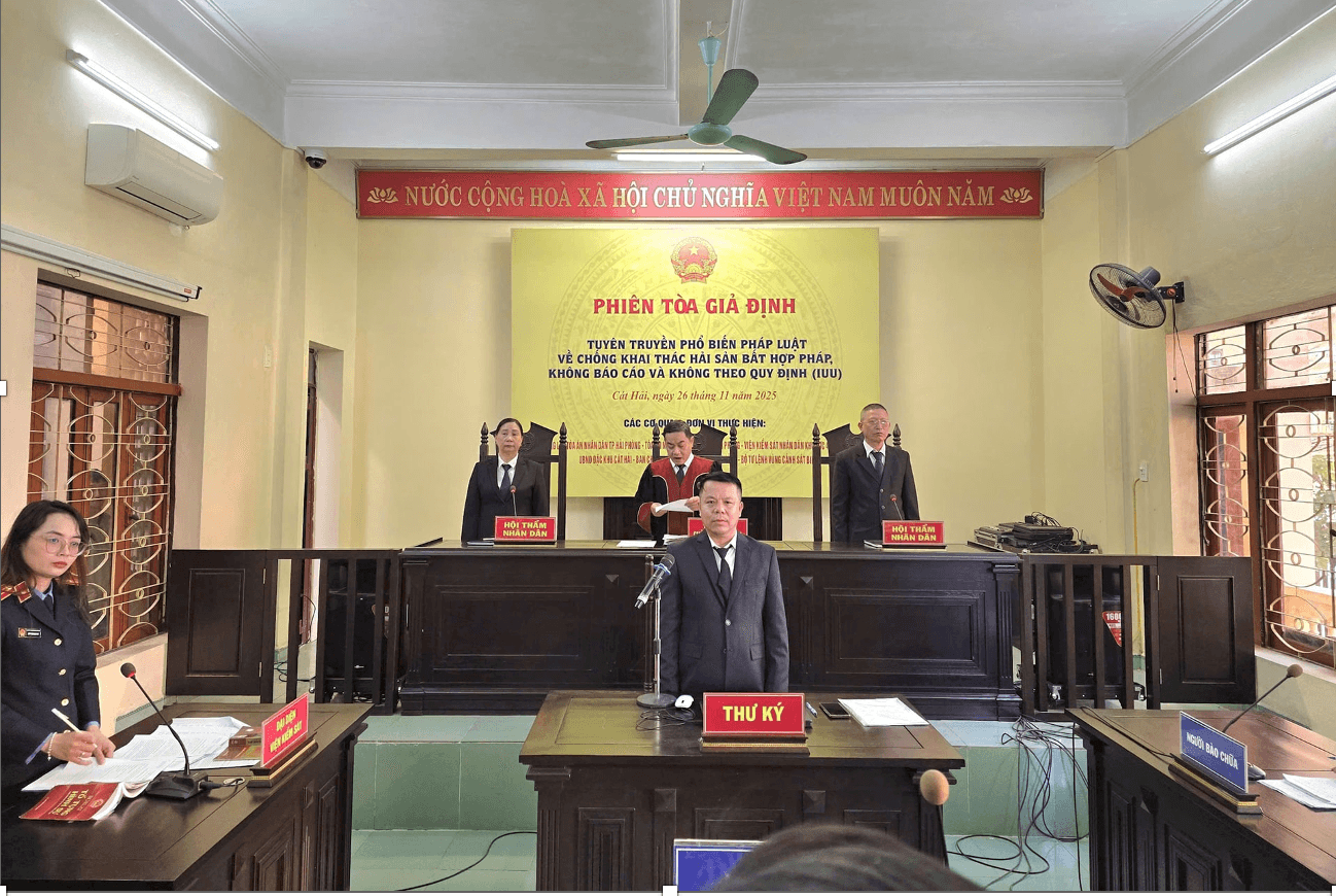 anh-man-hinh-2026-02-17-luc-11.17.42.png