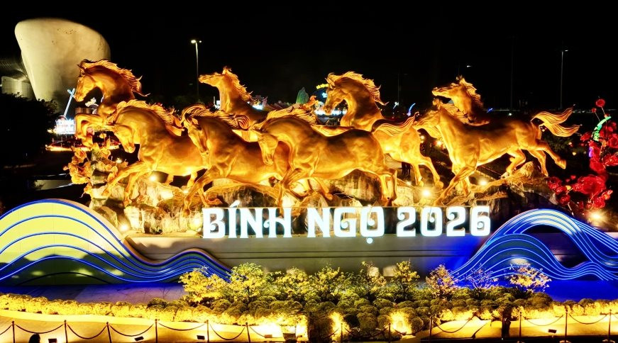 binh-ngo.jpeg