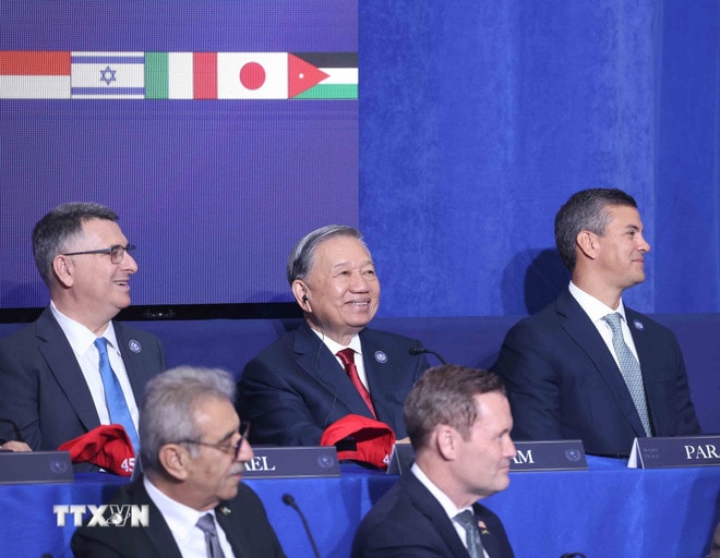 ttxvn-tong-bi-thu-to-lam-du-phien-khai-mac-hoi-dong-hoa-binh-ve-gaza-8598813-1.jpg