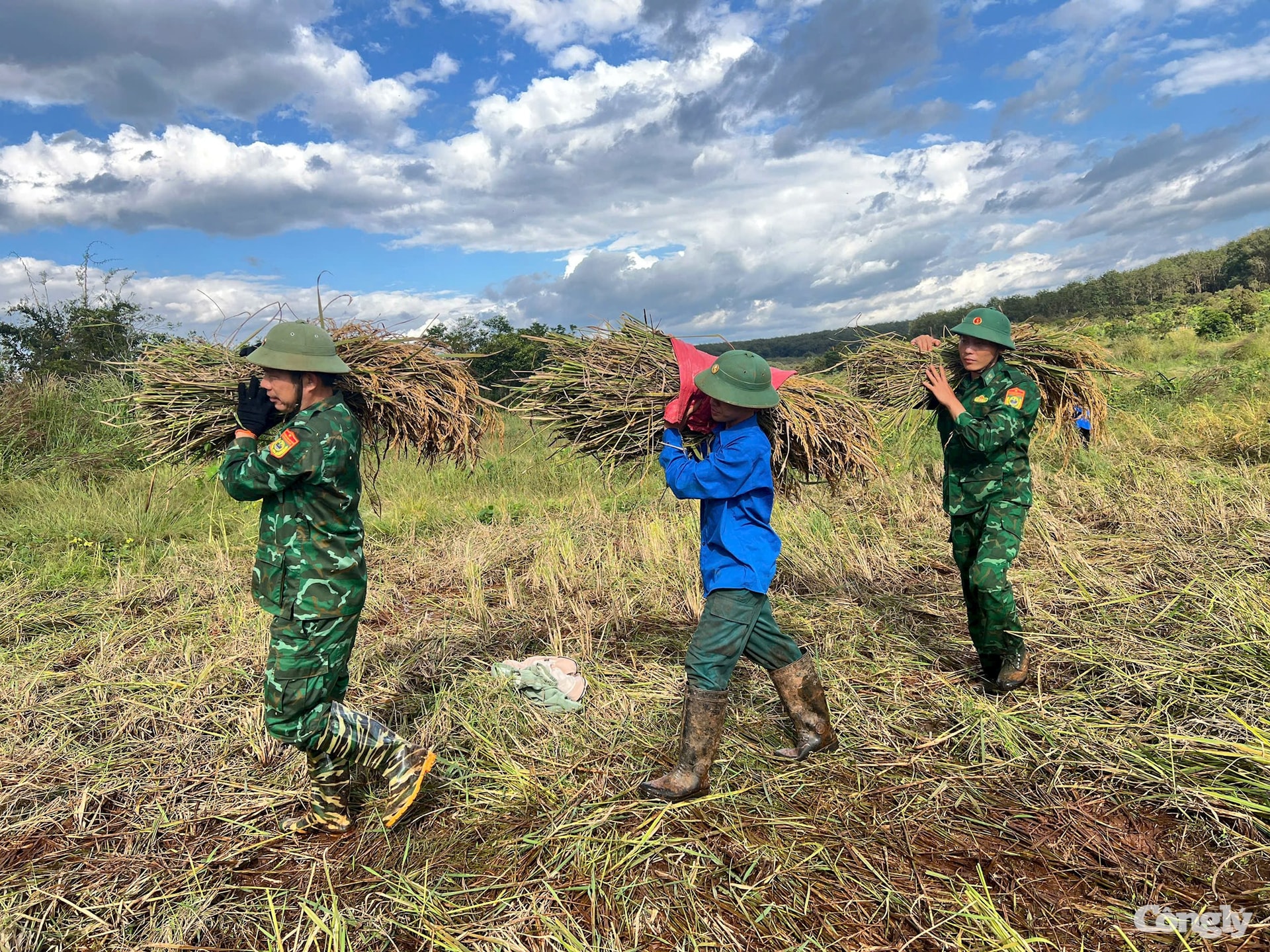 W_anh-5-bien-phong.jpg