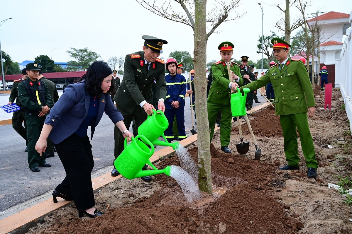 tet-trong-cay-2.jpg