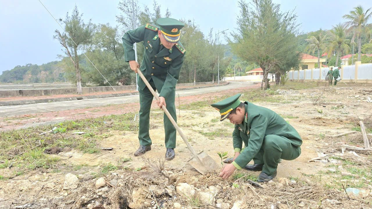 tet-trong-cay-3.jpg
