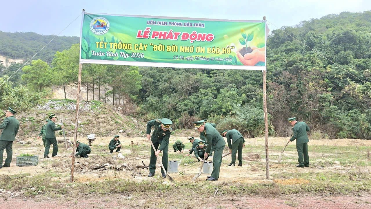 Tết trồng cây ở Đảo Trần - giữ màu xanh thiêng liêng nơi đầu sóng
