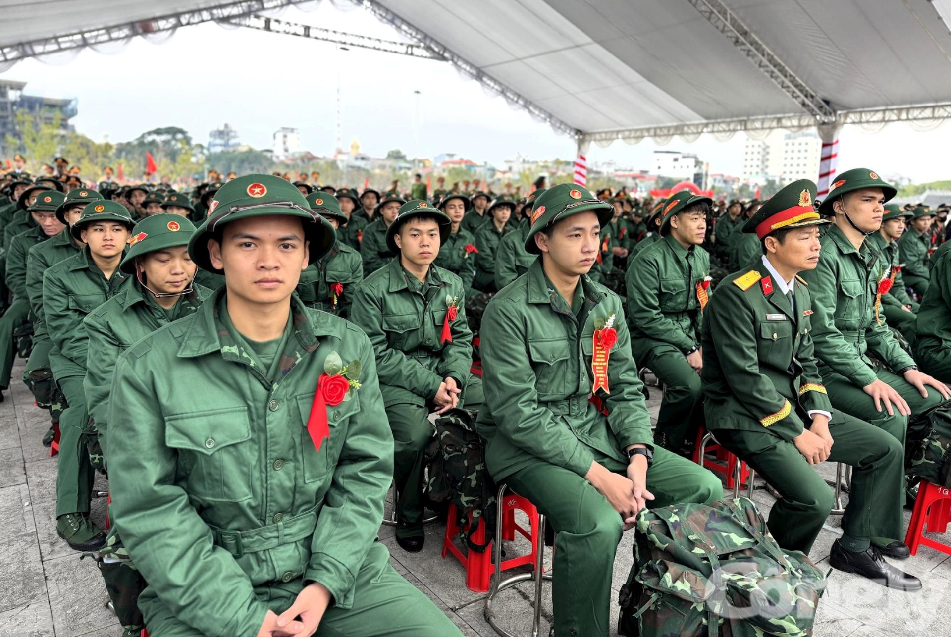 ron_rang_ngay_hoi_tong_quan14(1).jpeg