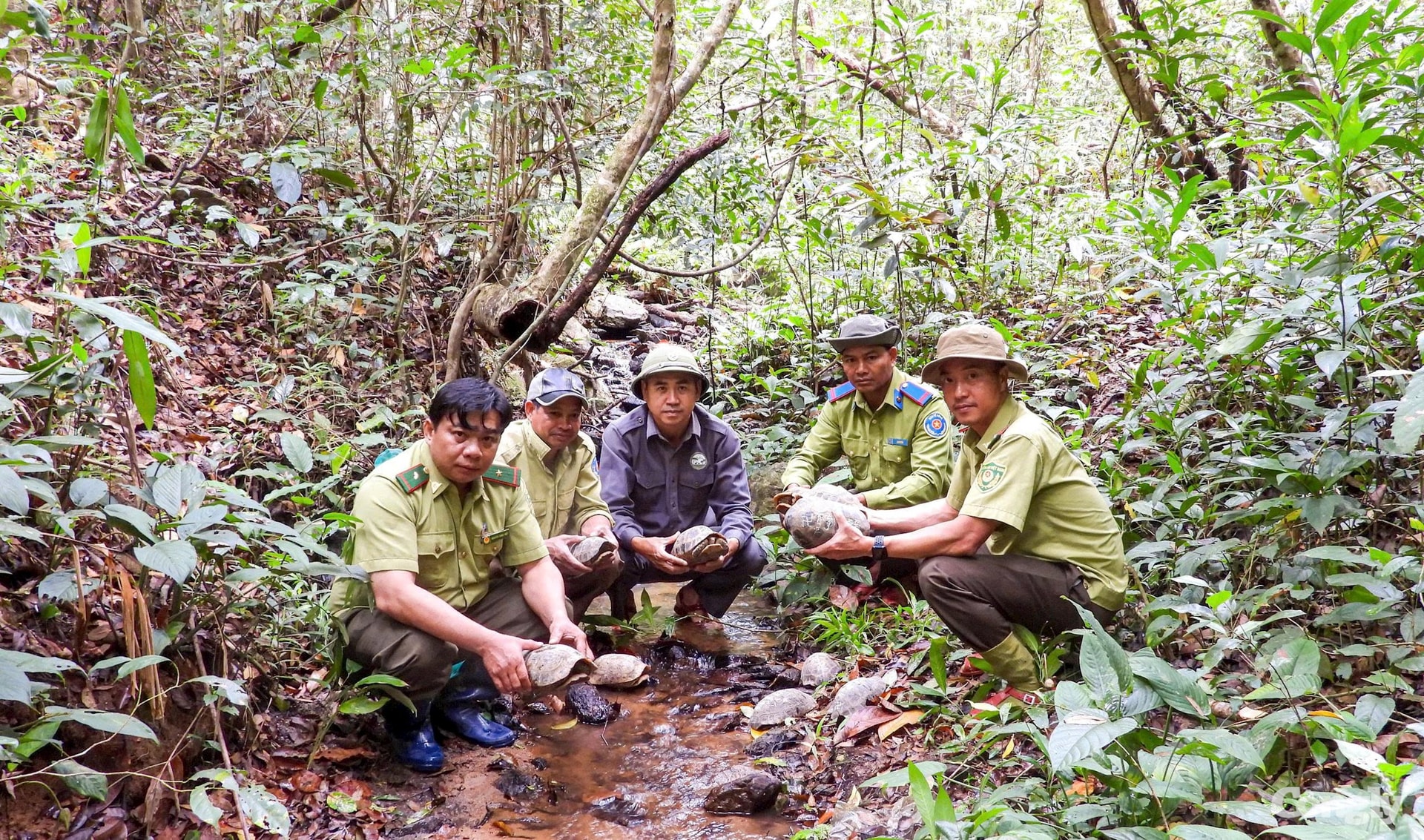 W_tha-dong-vat.kon-ka-kinh.jpg