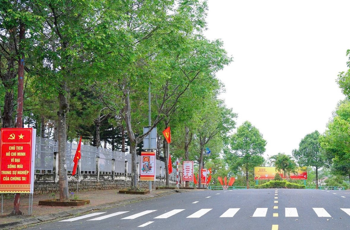 bau-cu-nam-gia-nghia_2.jpg