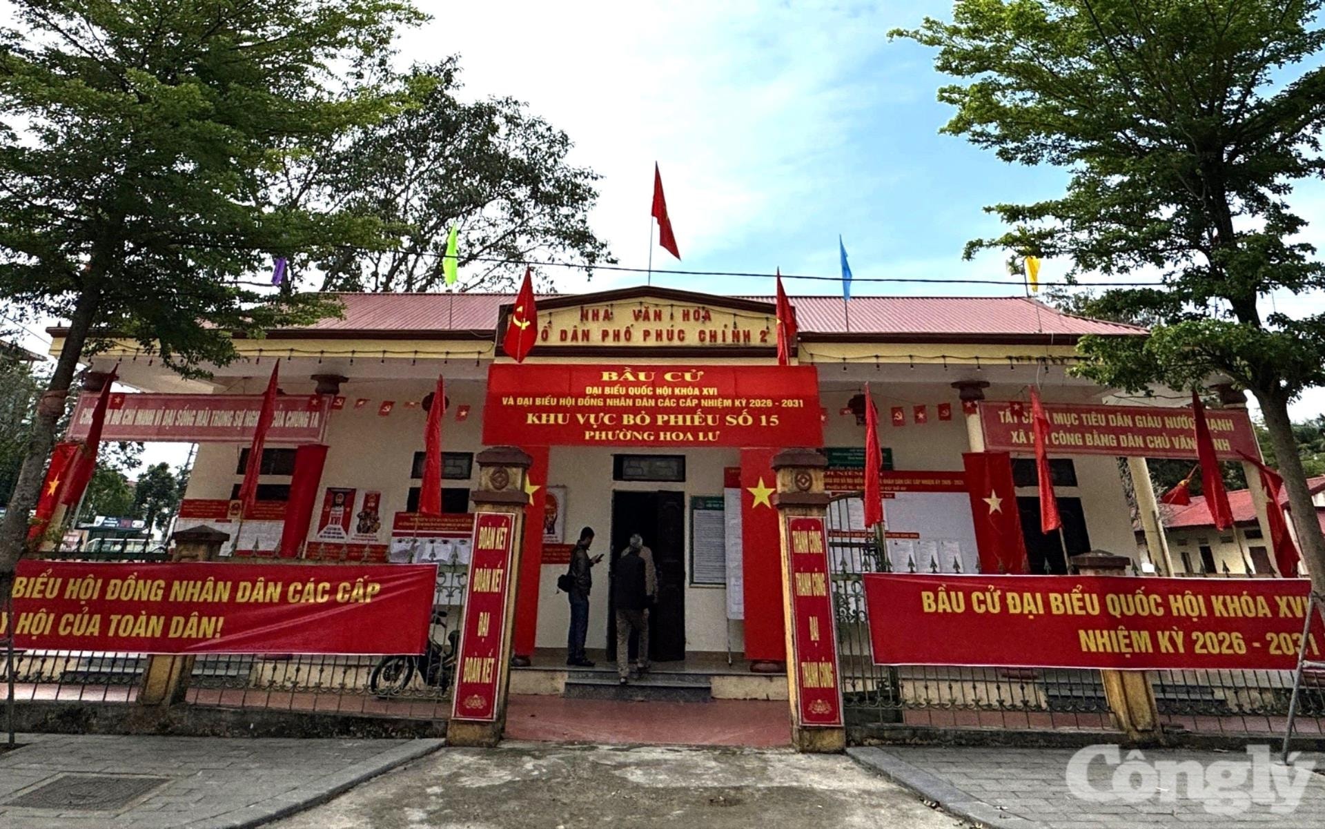 phuong_hoa_lu3(1).jpeg