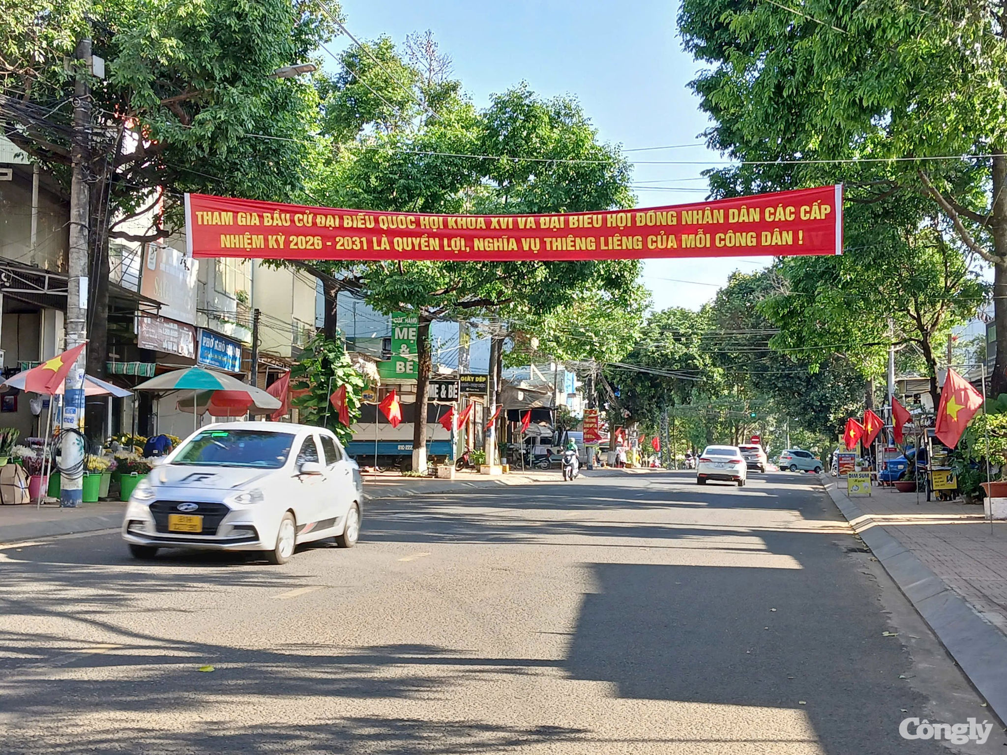 W_bau-cu.-gia-lai-10.jpg