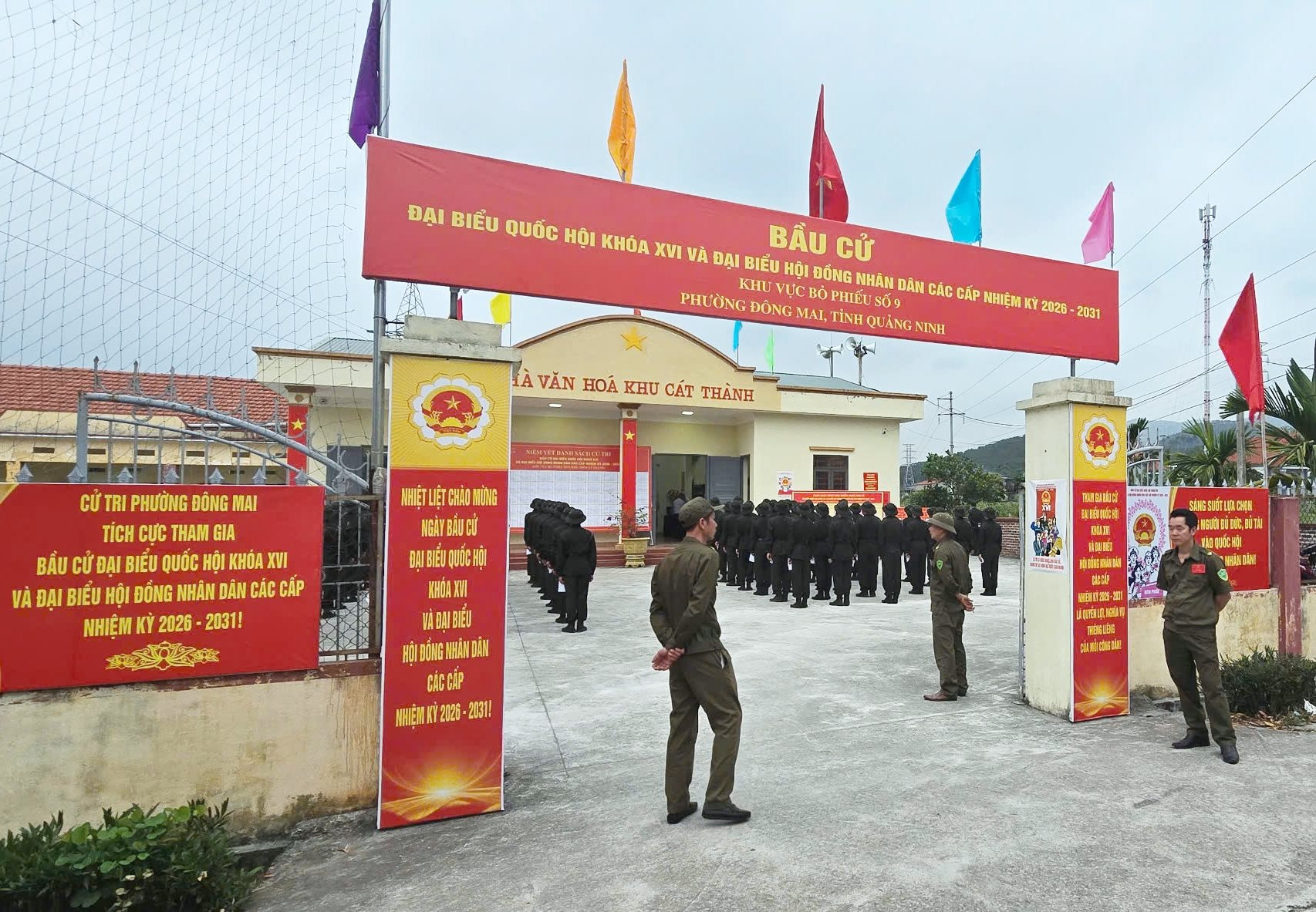 dong-mai-2.jpg