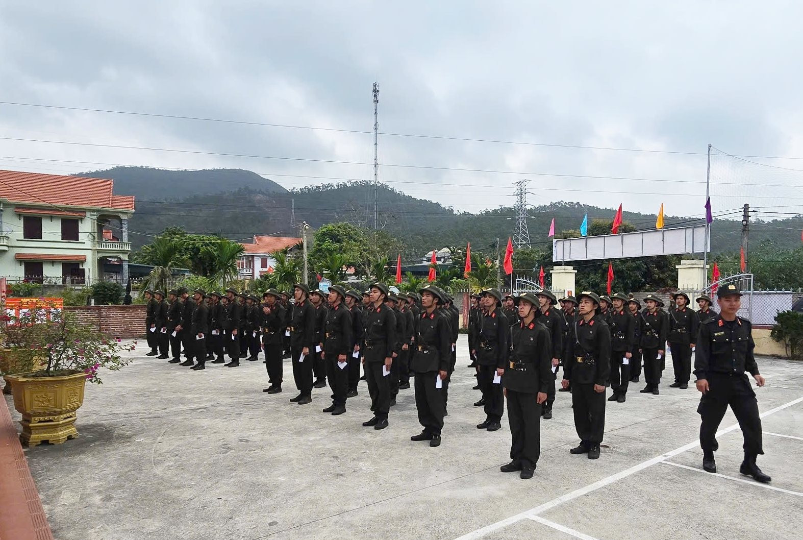 dong-mai-3.jpg