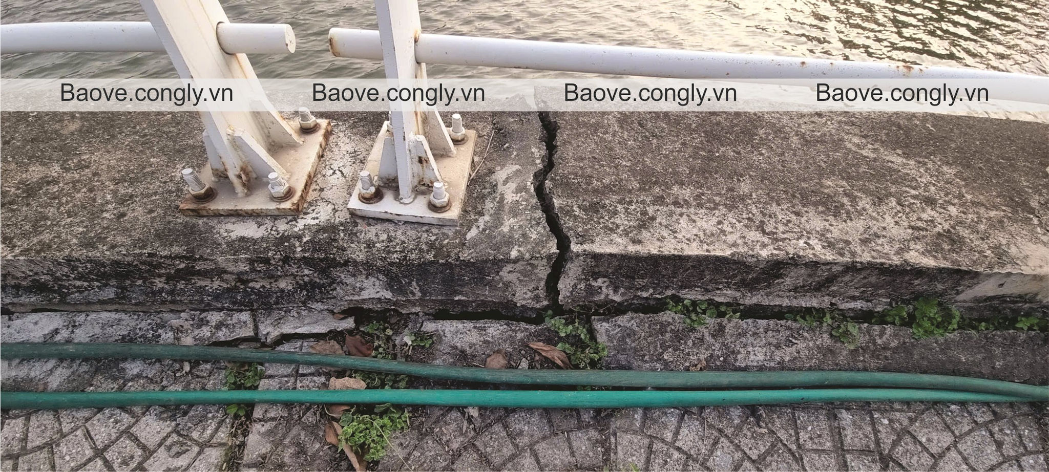b2.jpg