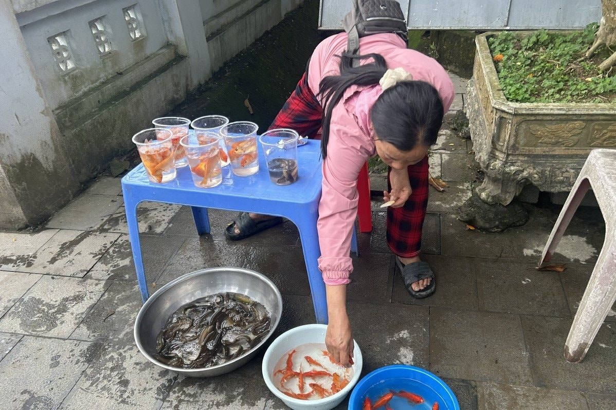 phongsinh.jpg