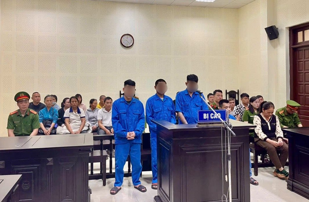 bi-cao(1).jpeg