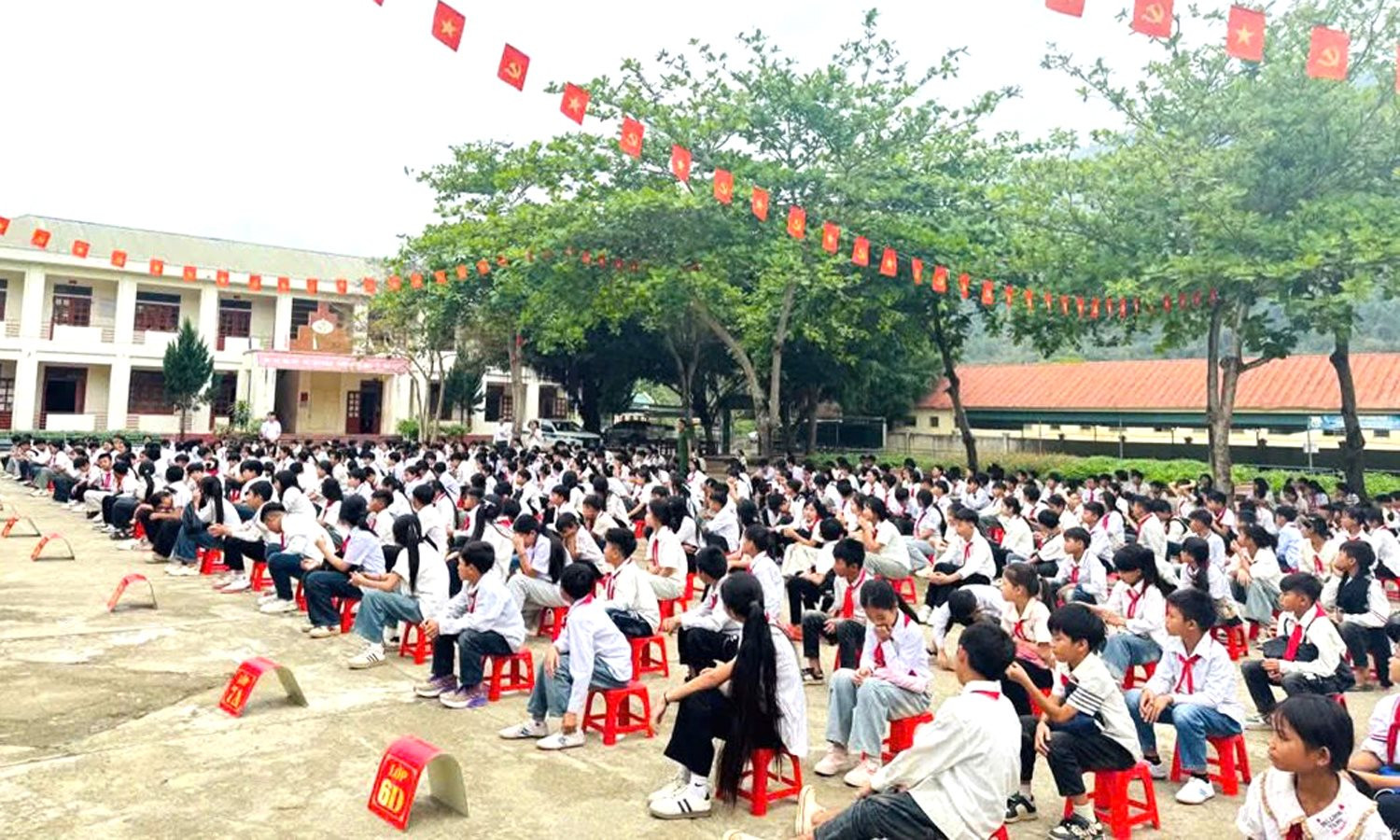 ttpl2.jpg