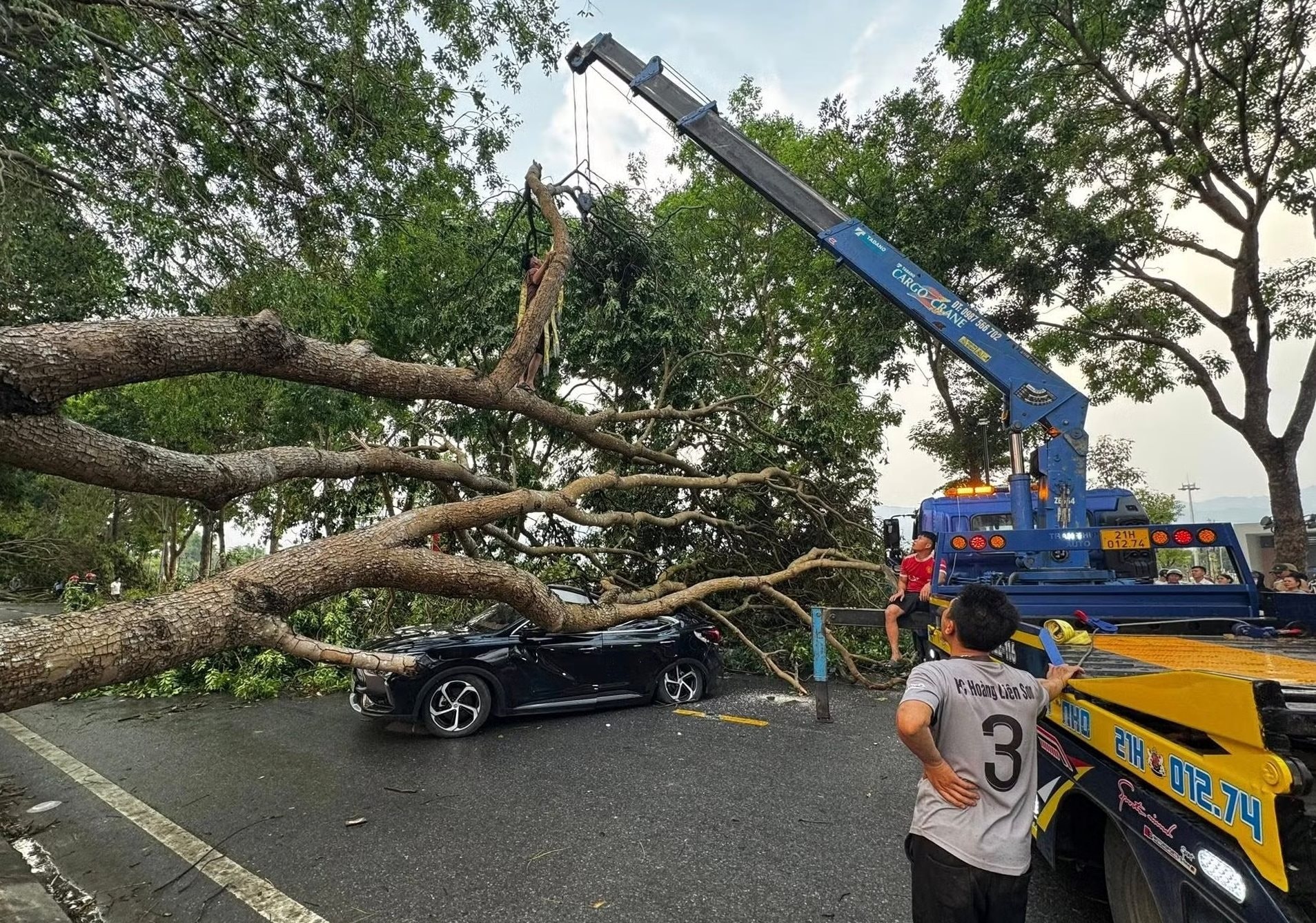 Chủ tịch UBND tỉnh Lào Cai chỉ đạo khắc phục hậu quả thiệt hại mưa, dông lốc