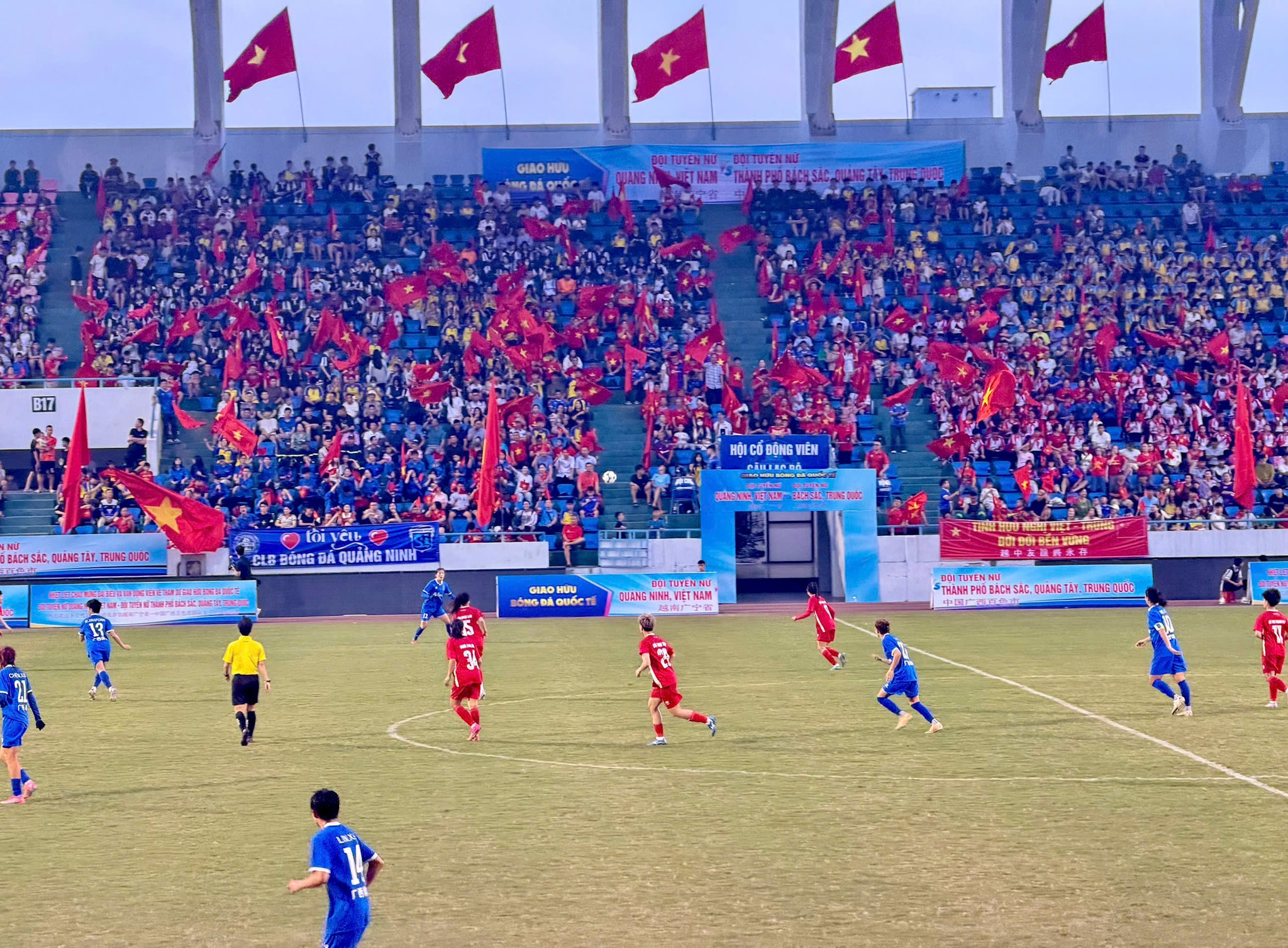 co-do-sao-vang.jpg