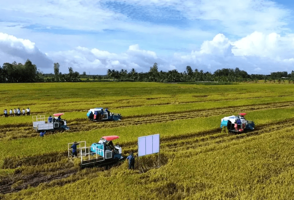 Doanh nghiệp, hiệp hội chung tay giữ nhịp sản xuất nông nghiệp- Ảnh 2.