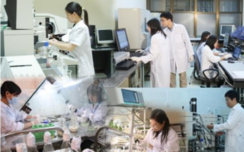 992-giam-dinh.png