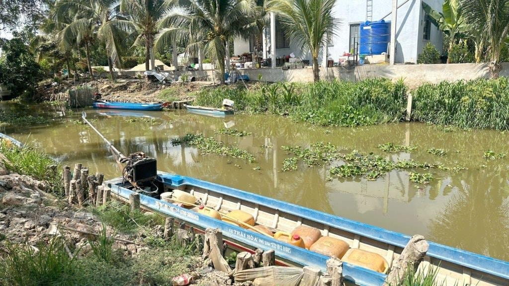 Cá sấu nặng hàng chục ký xuất hiện ở kênh nước