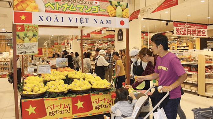 phan-phoi-hang-viet.png