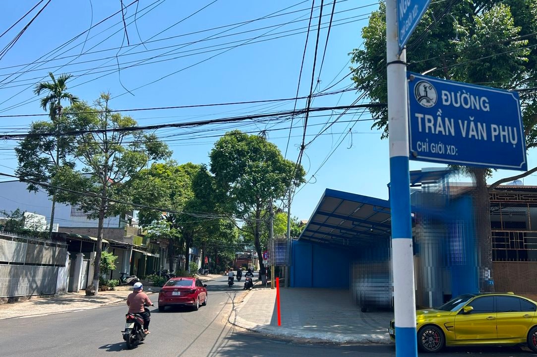 Bị xử phạt vì tự ý chặt cây xanh đô thị