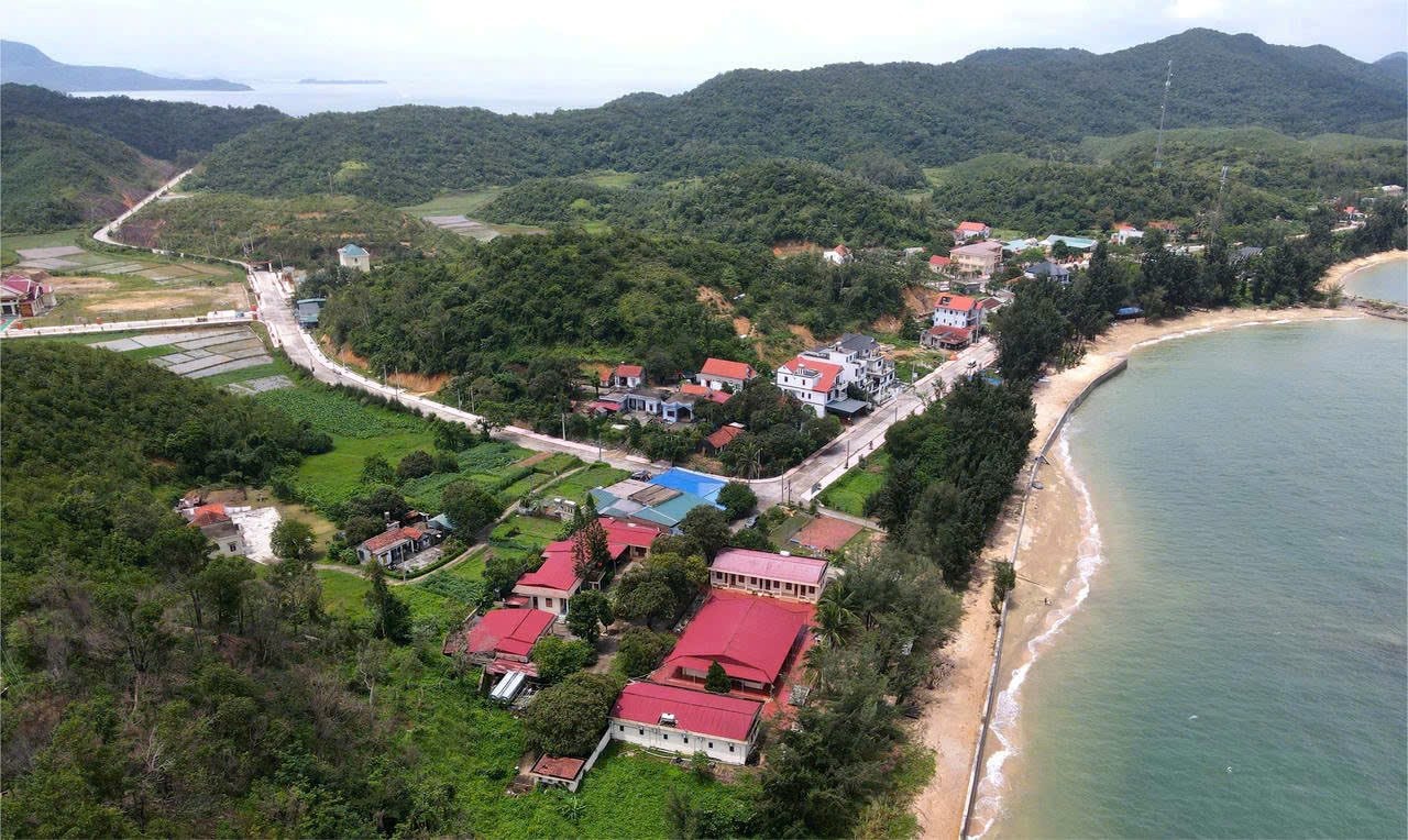 dao-cai-chien-1.jpg