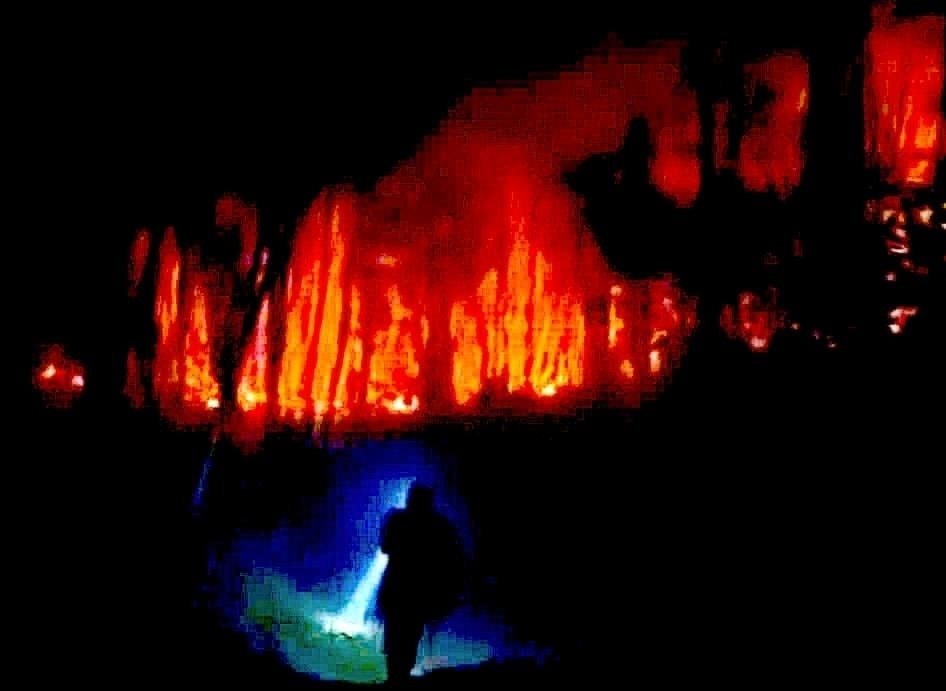 Hàng trăm người căng mình chữa cháy rừng trong đêm ở Nghệ An