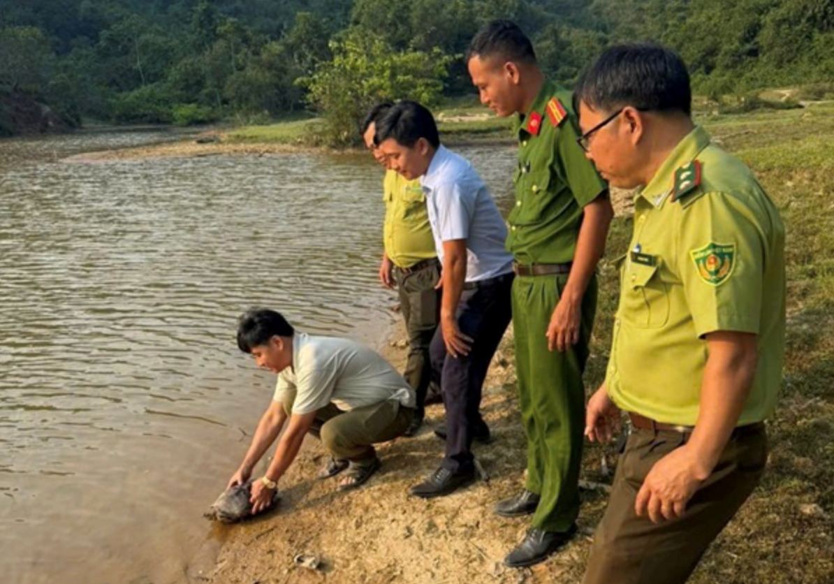 Nhiều cá thể động vật quý hiếm được người dân giao nộp, thả về tự nhiên